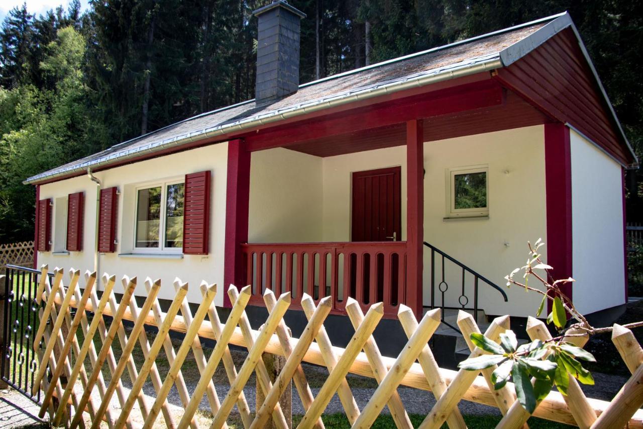 Erzgebirgsidyll Breitenbrunn - Waldhaus Neuer Anbau Kültér fotó